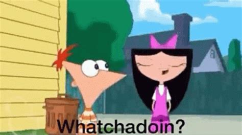 phineas and ferb whatcha doin gif